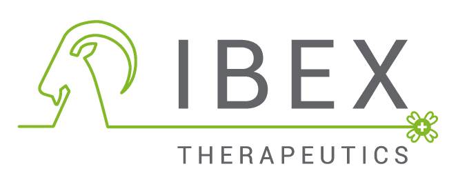 IBEX logo compact grey green